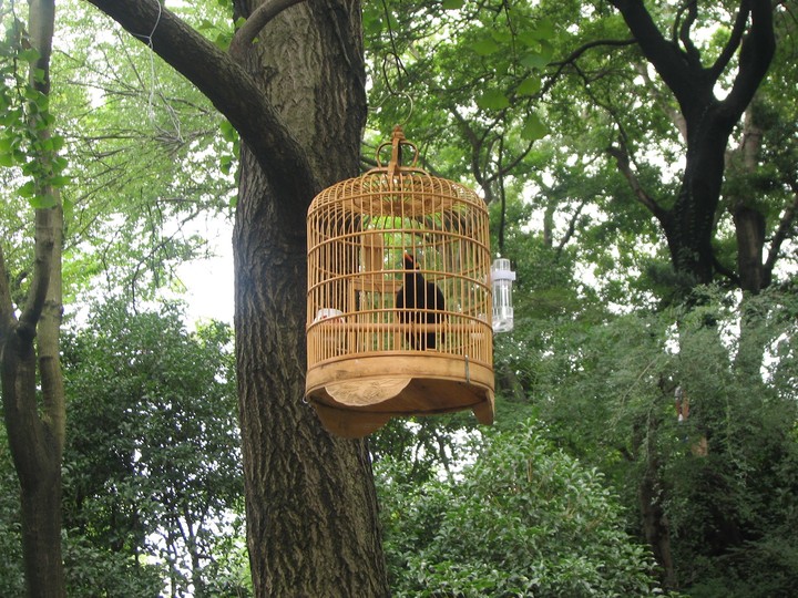 imprisoned for the joy of man.