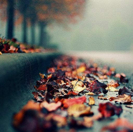wallpapers_sah.spid