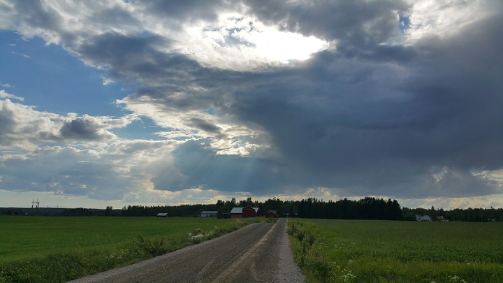 finnish's nature