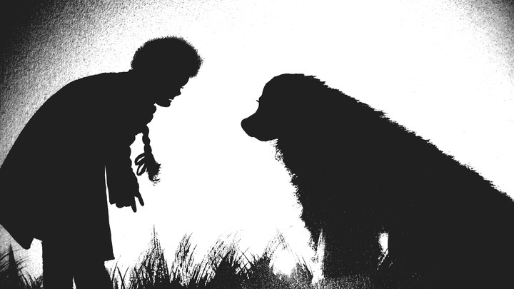 shadow