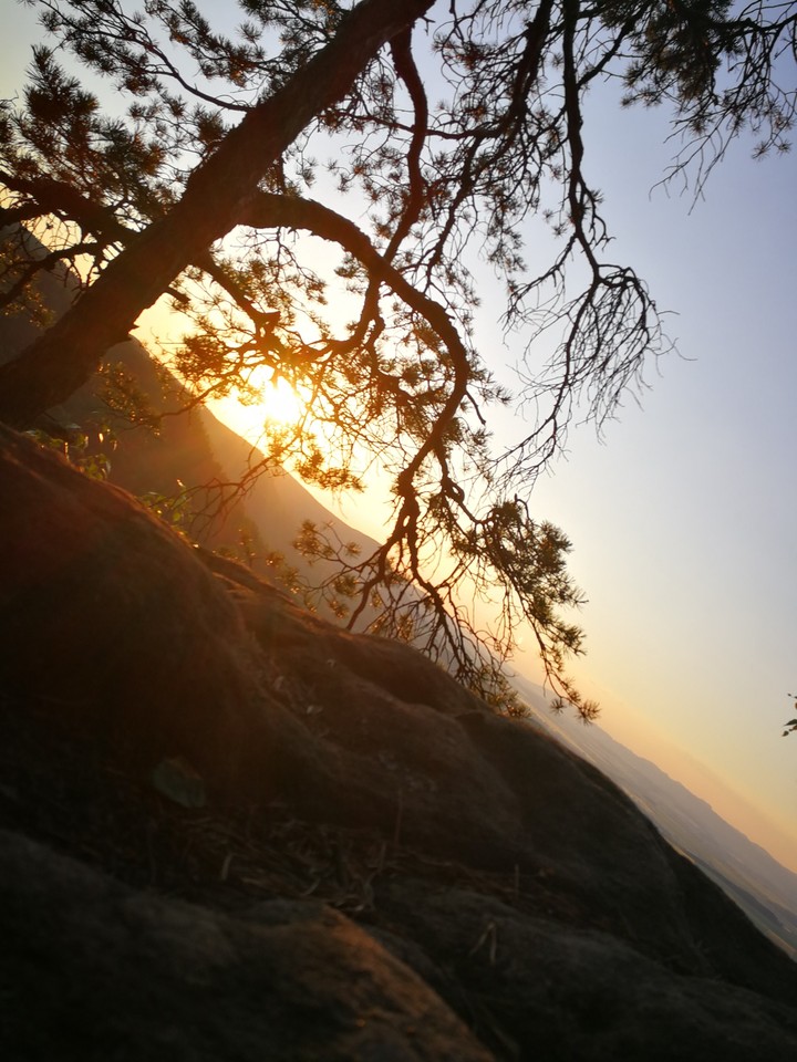 Mountain