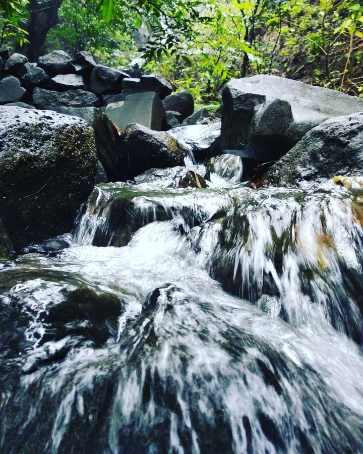 i was in  jungle this morning and found a beautiful waterfal