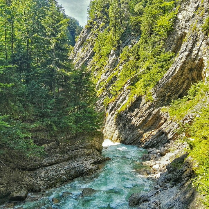nature pure