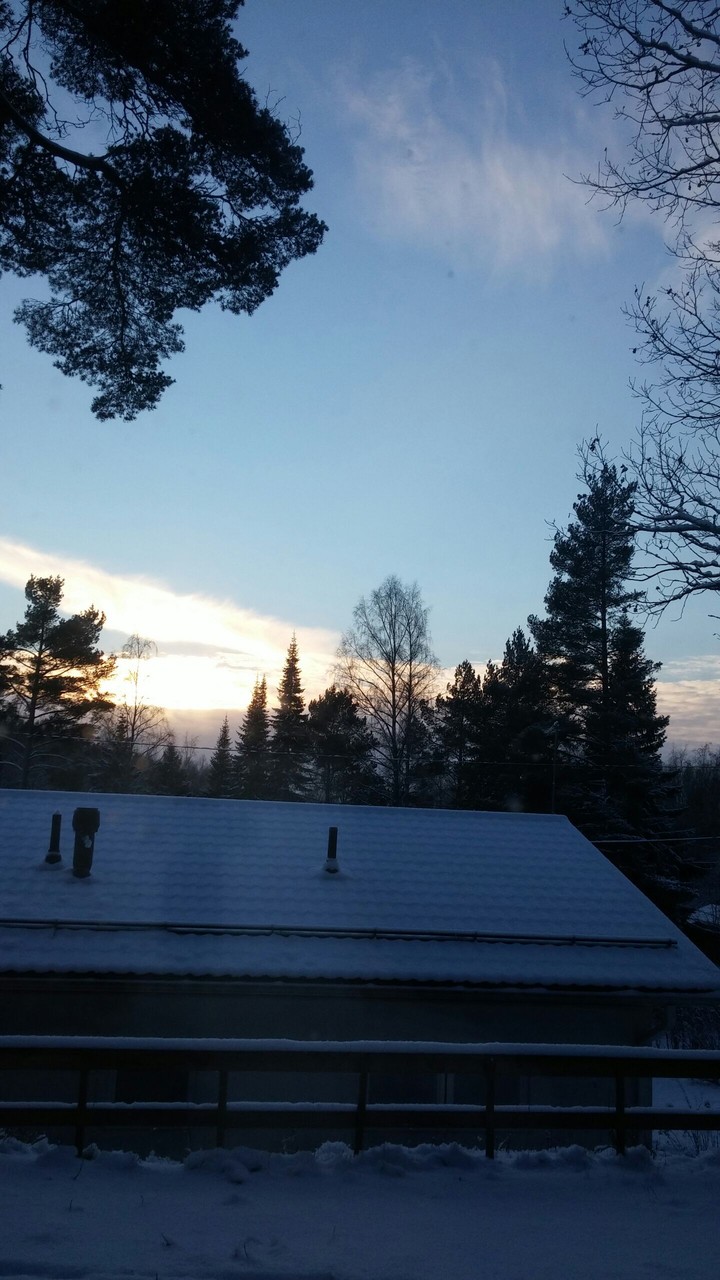 Finnish winter