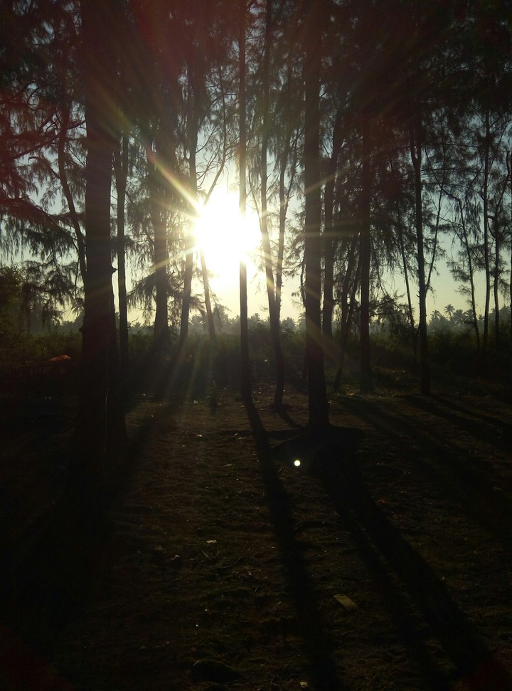 dawn.