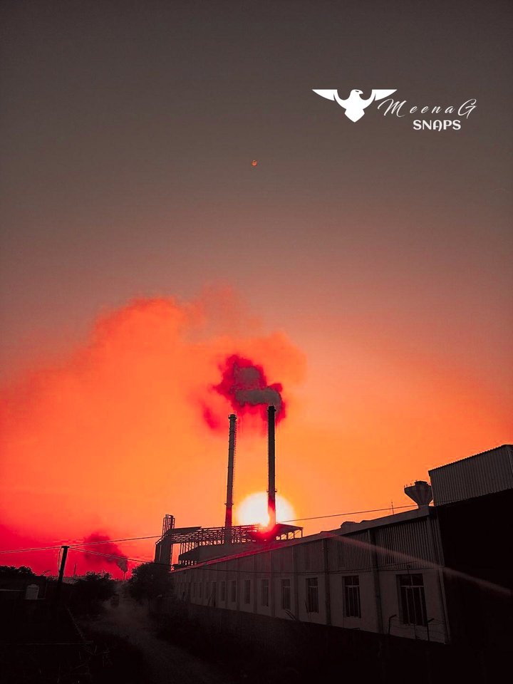 smog