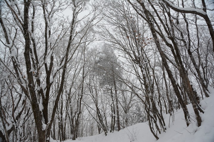 태백산이미지