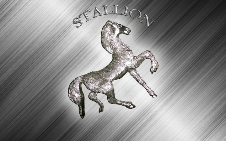 Stallion