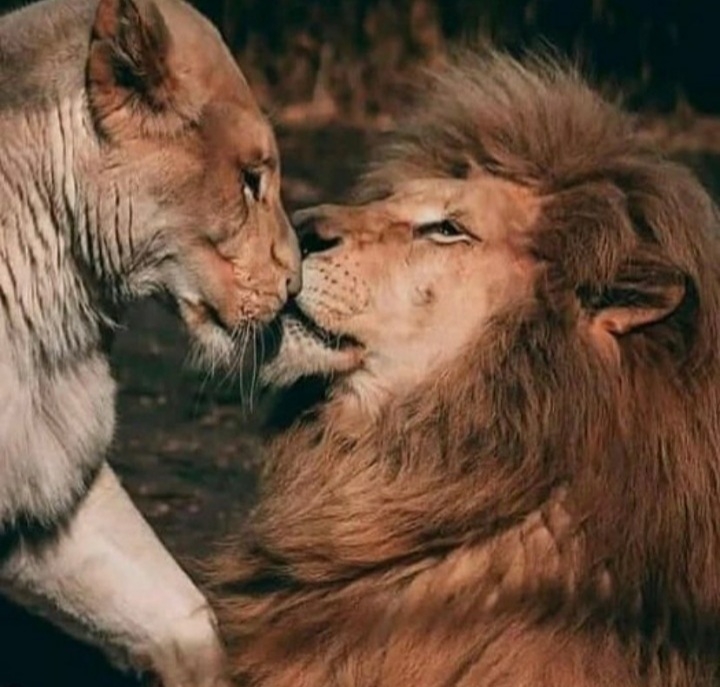 ❤