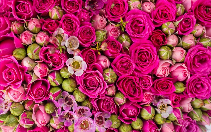 Summer flowers texture