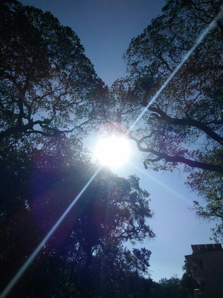 sunshine