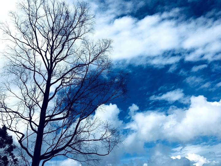 Evng Sky