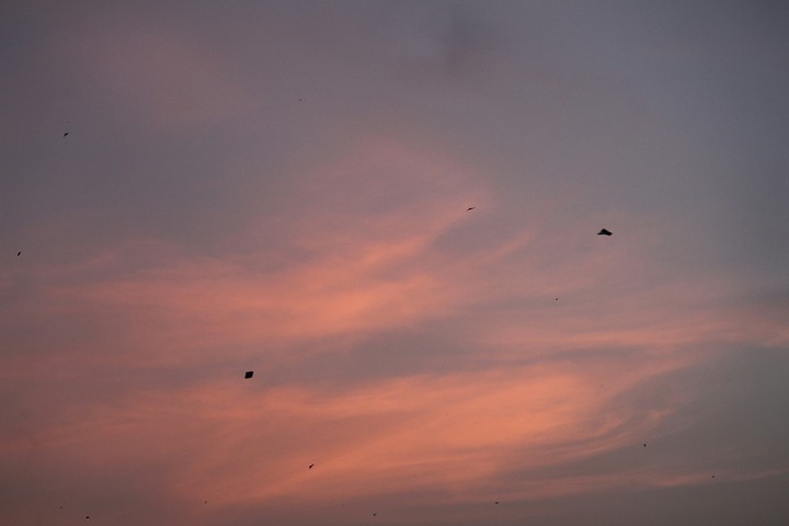Flying kites!