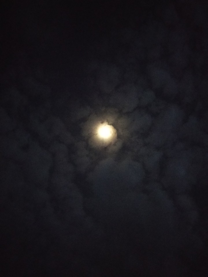 windy moon