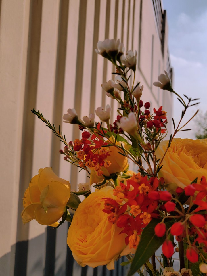 flower