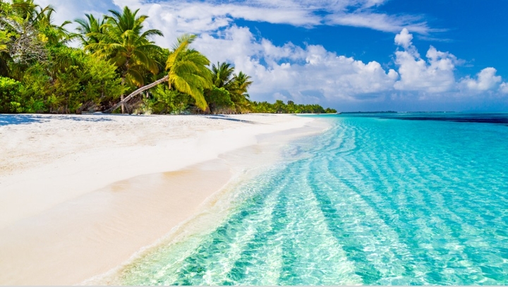 tu sitio ideal para las vacaciones