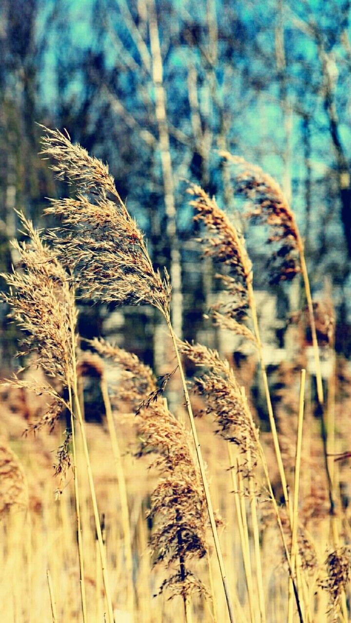 summer