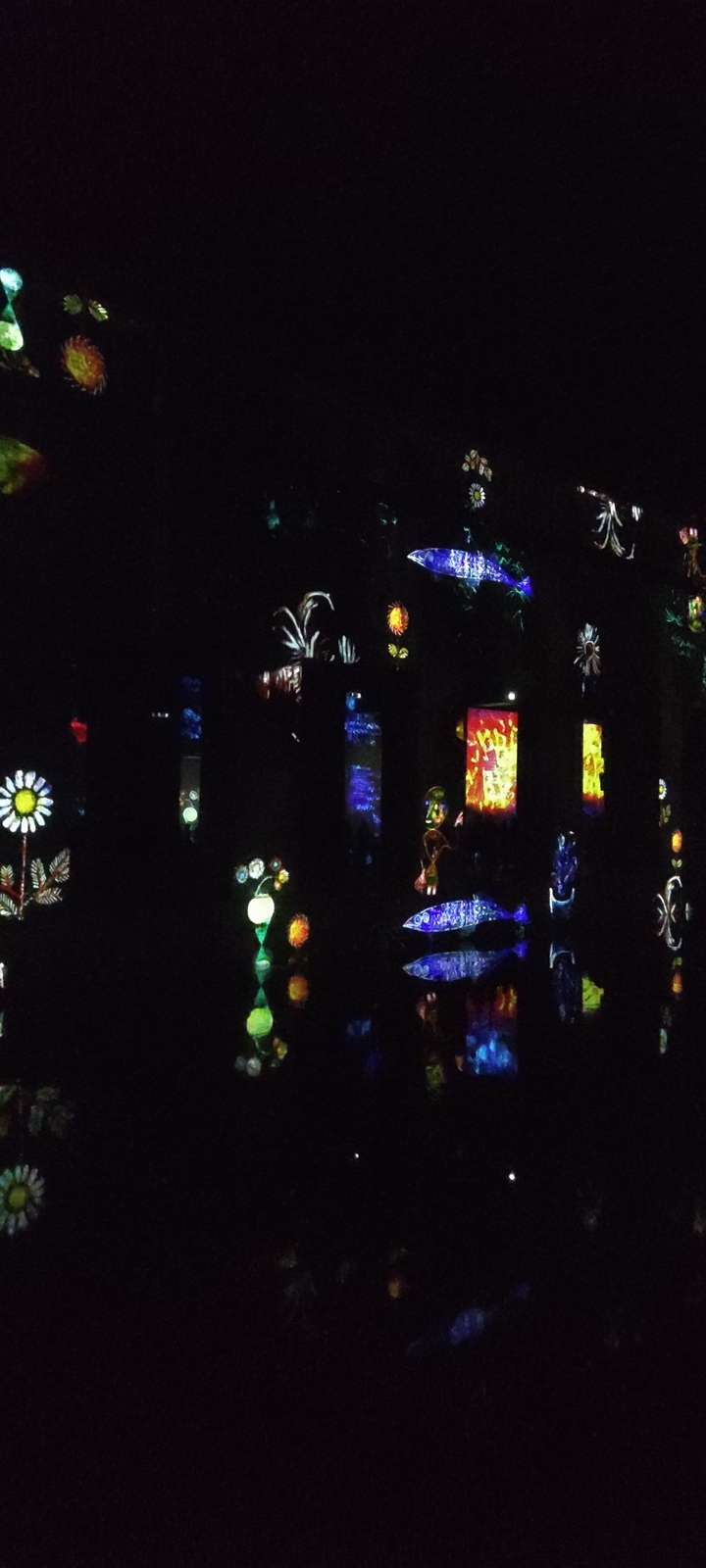Pool of Lights