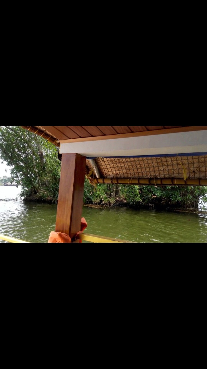 Backwater alappi