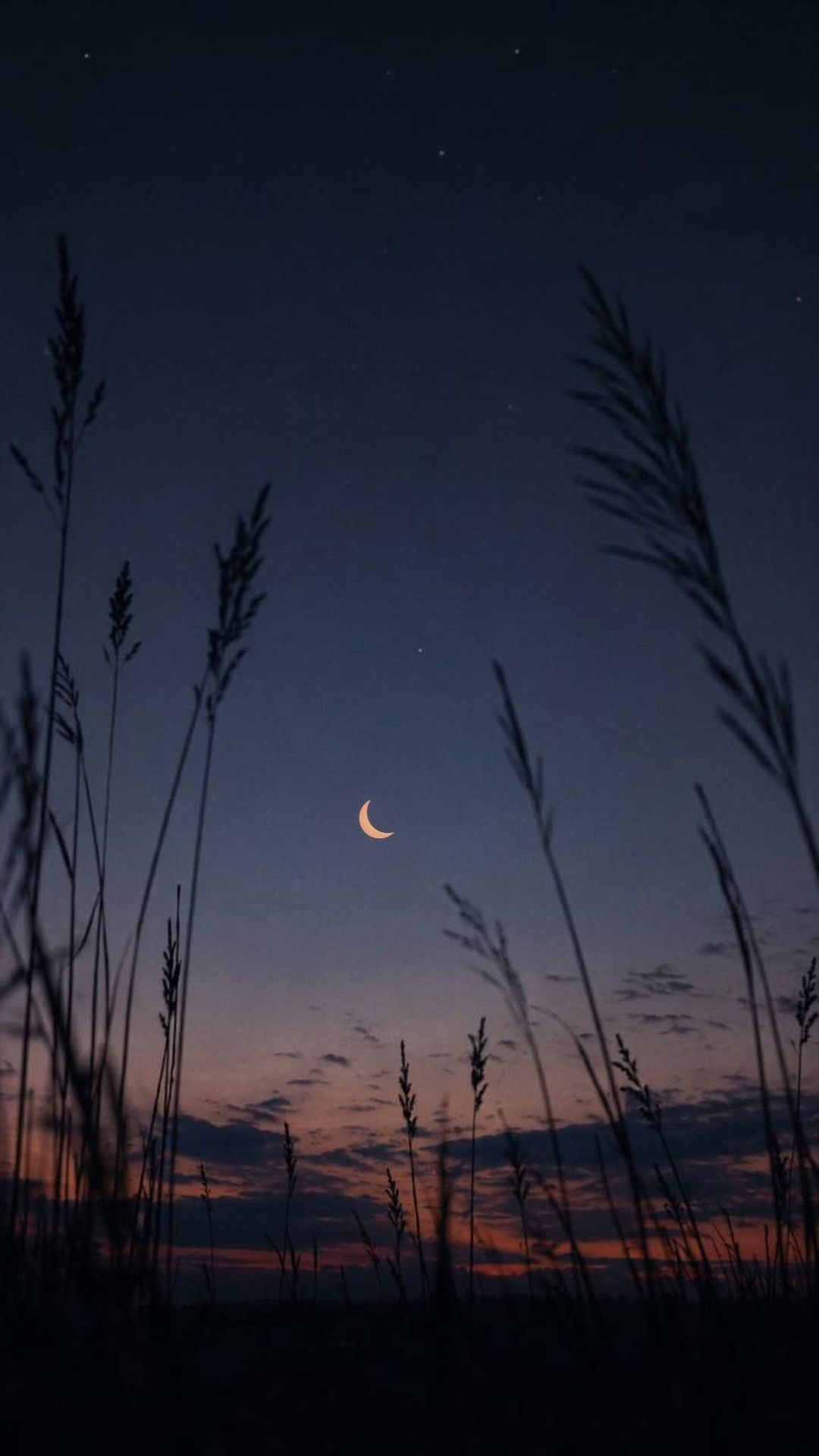 sfondi evening, dusk