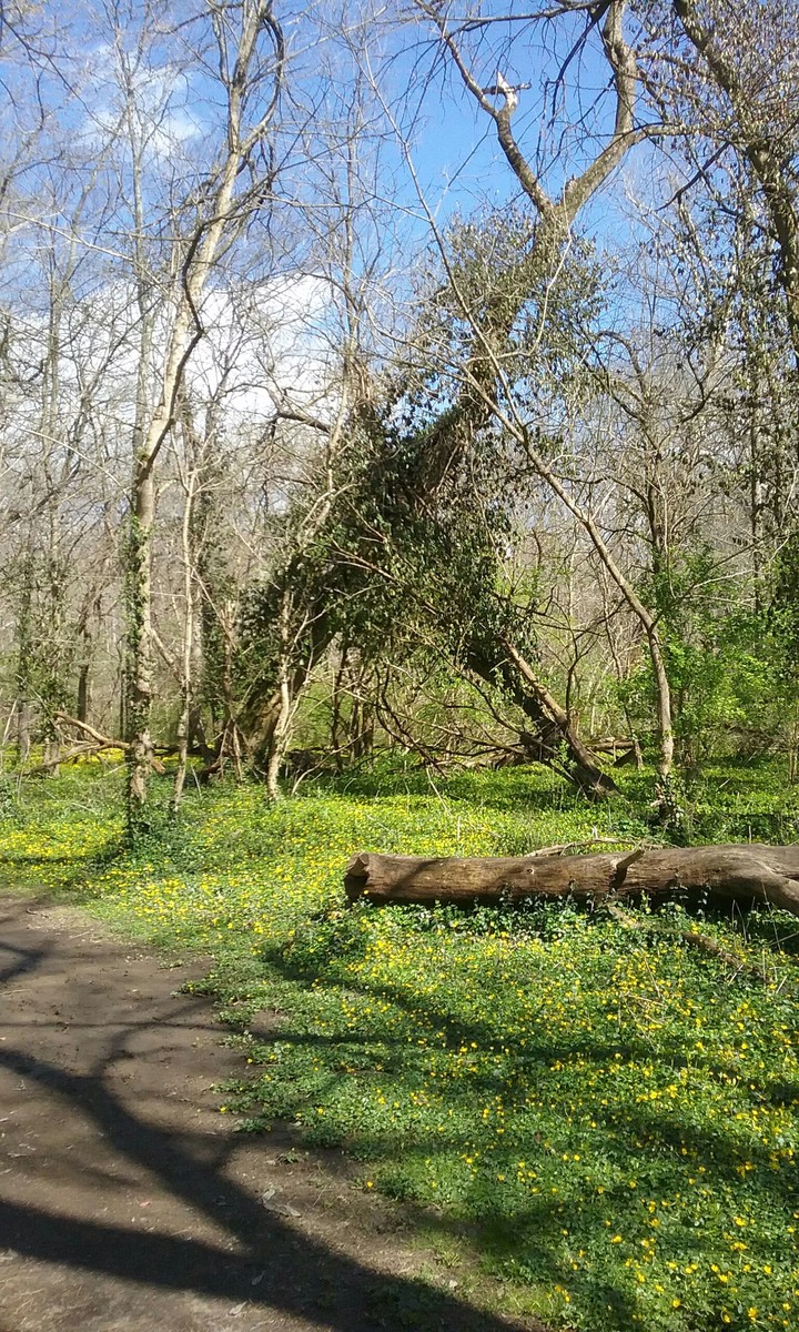 The Narrows Reserve