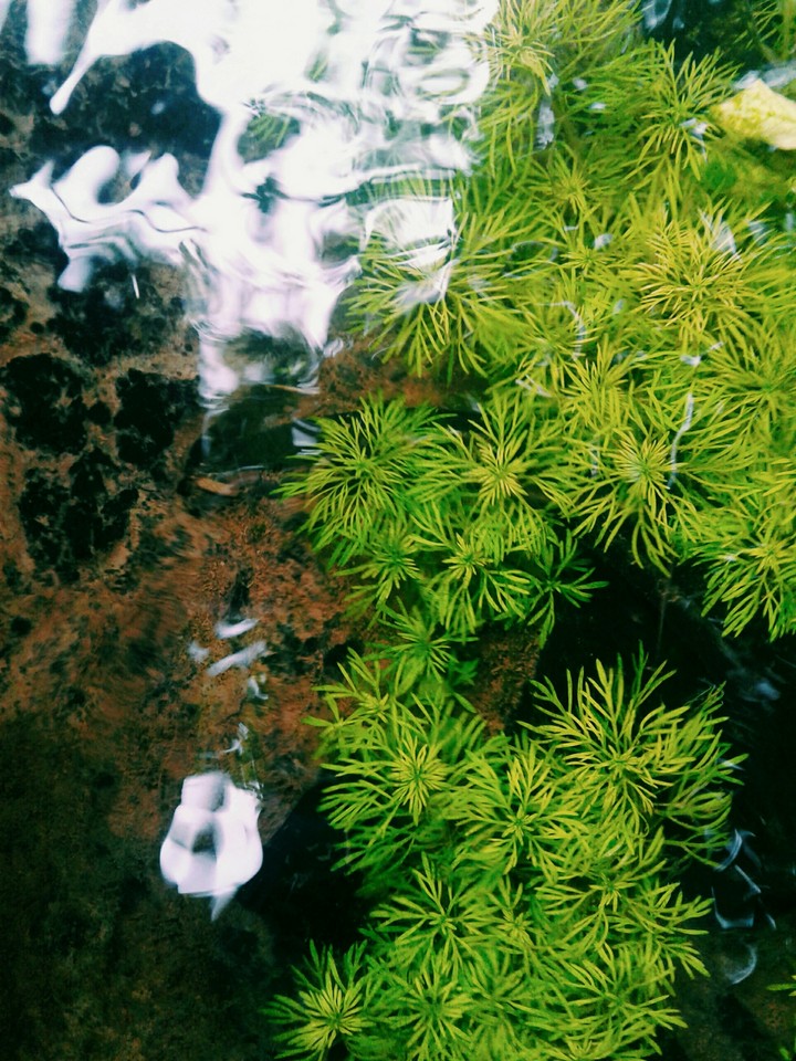 P M B Nature