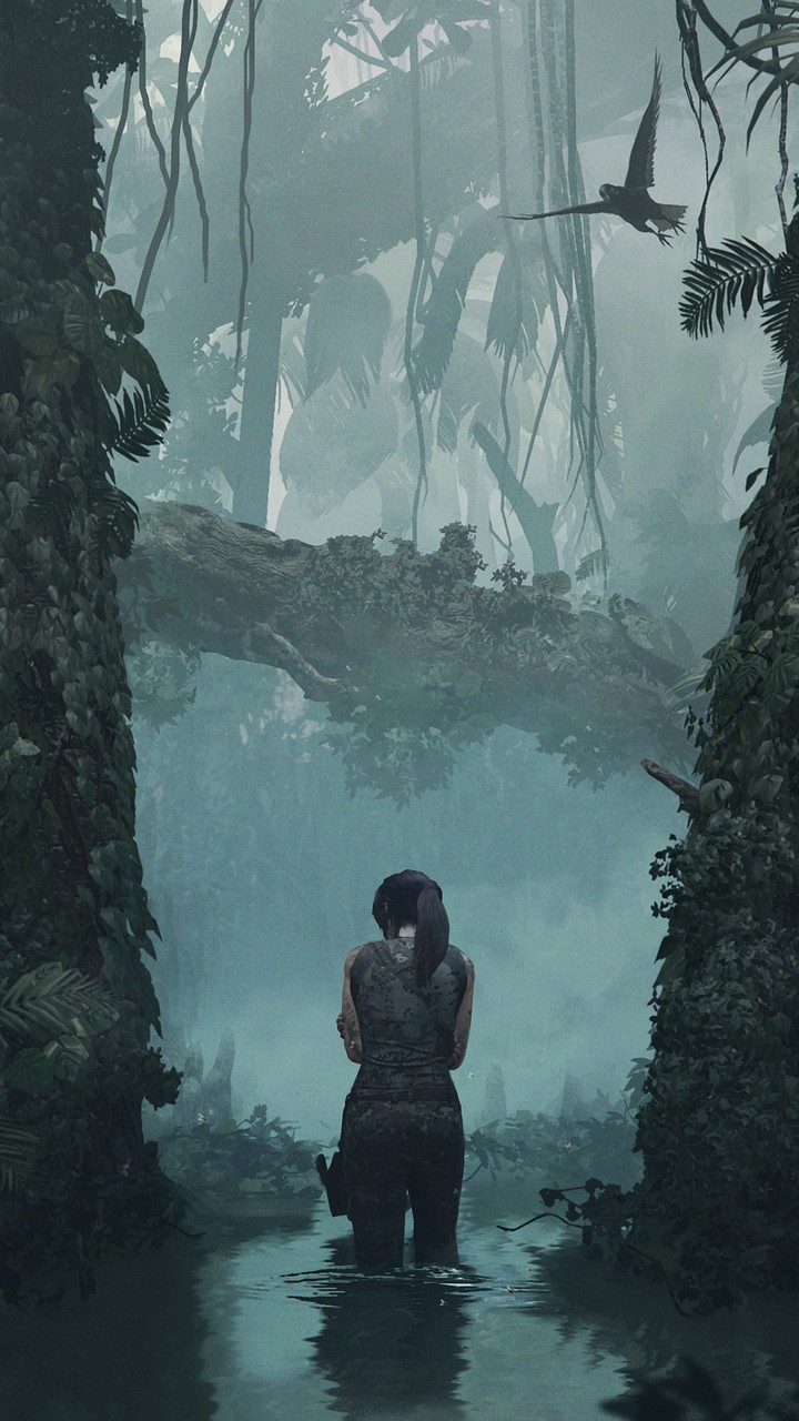 Tomb Raider : Lara Croft