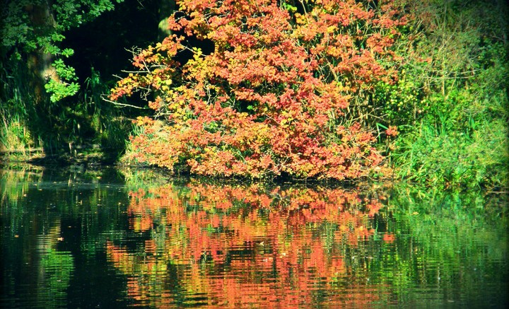 Autumn