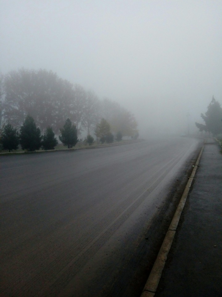 A foggy morning