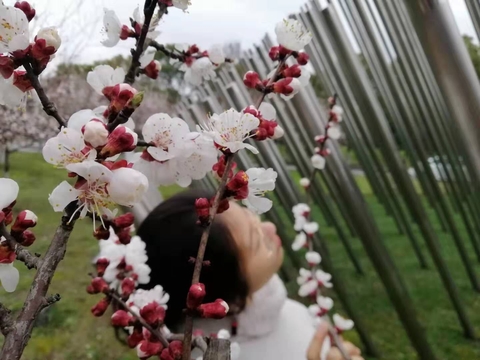 spring
