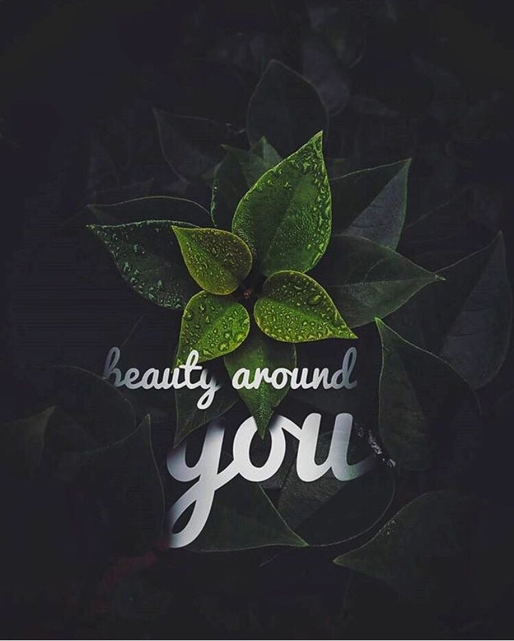 beauty around you