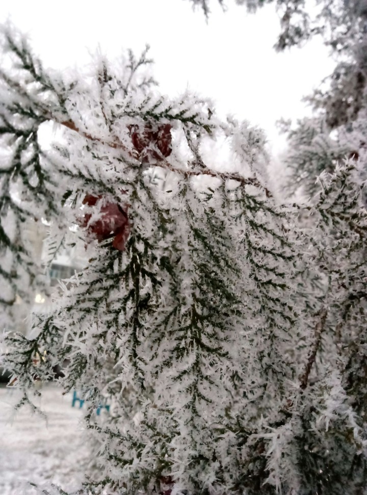 Winter