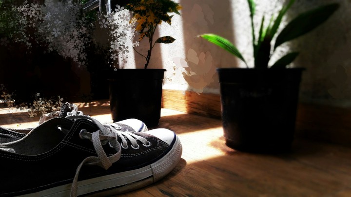 shoe pic