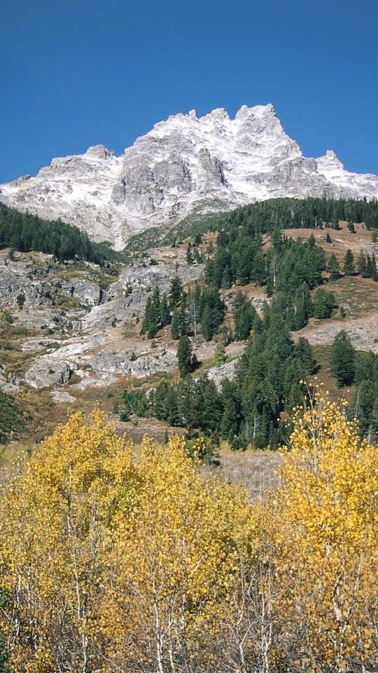 beau paysage