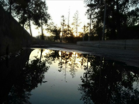 Water Mirror