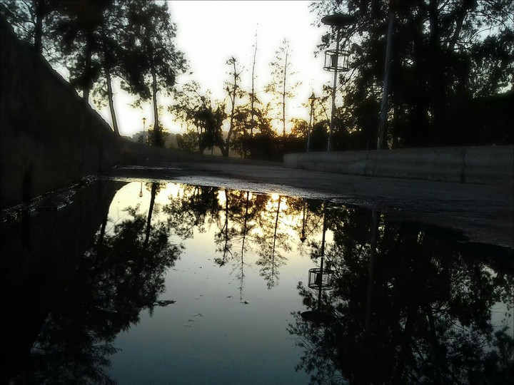 Water Mirror