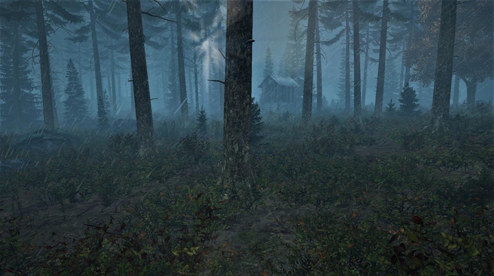 DayZ