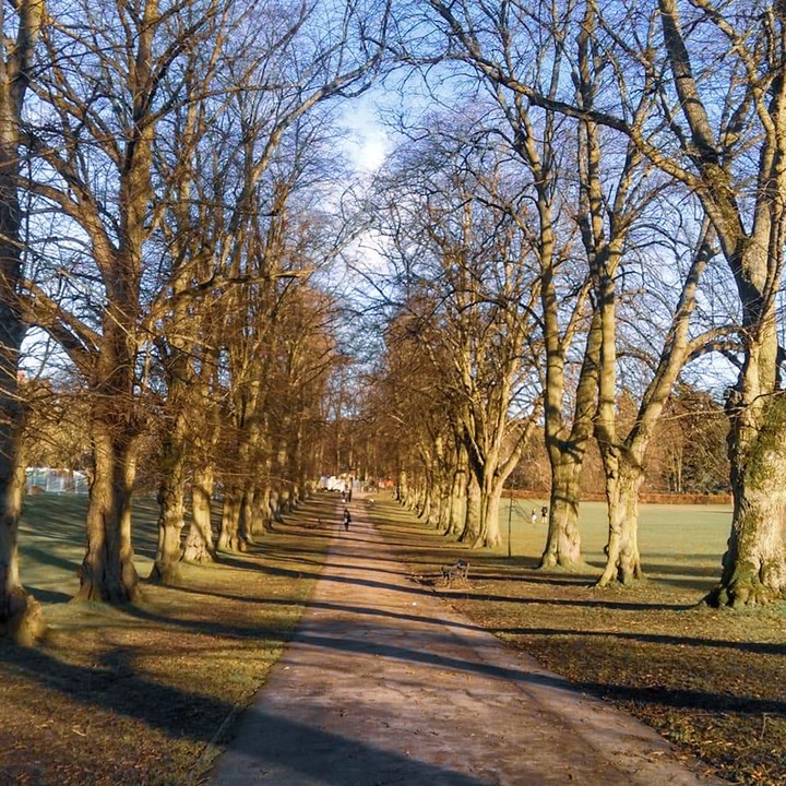 park