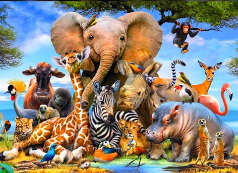 elephant, organism Hintergrundbilder