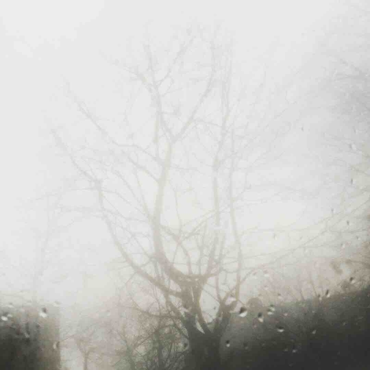 the silence of the rain