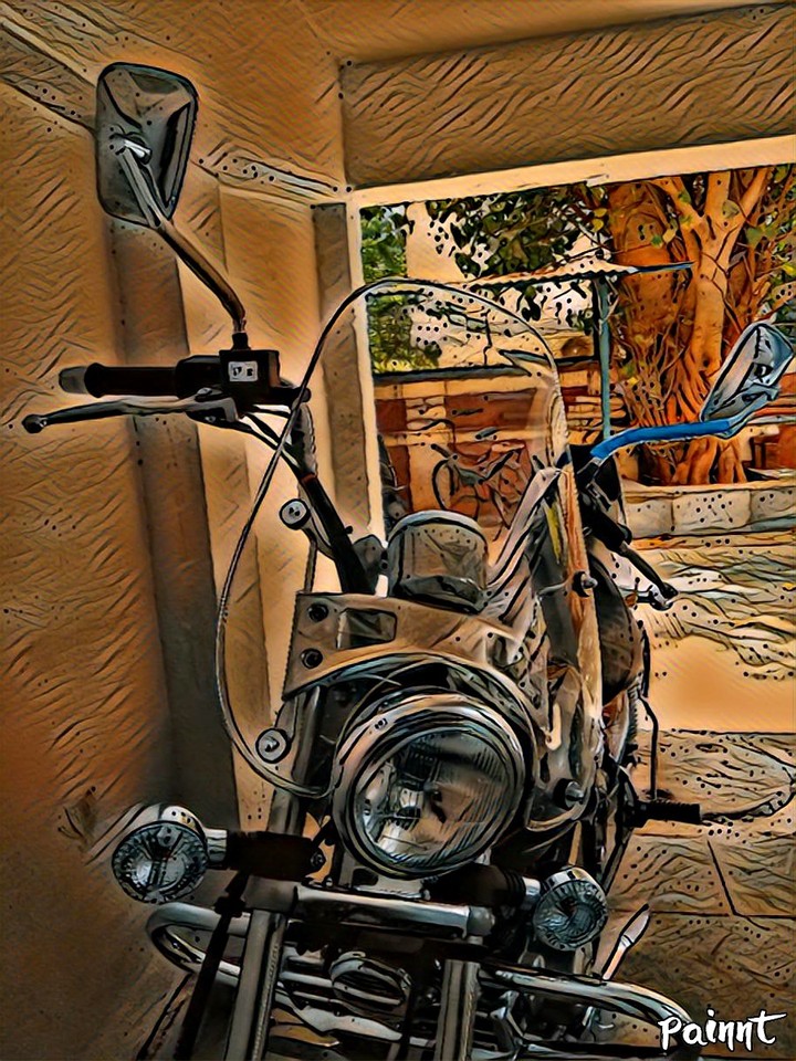 Cruise Bike