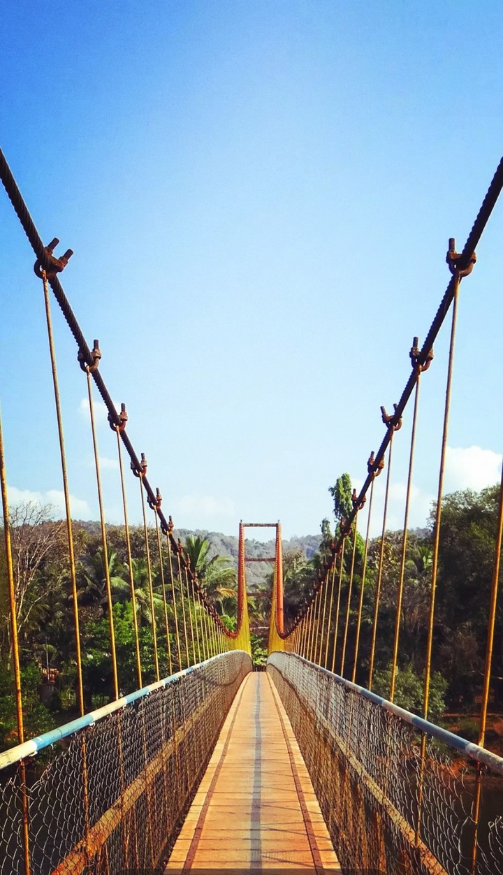 Bridge