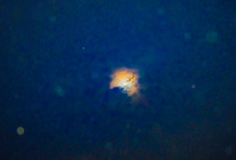 sky shower