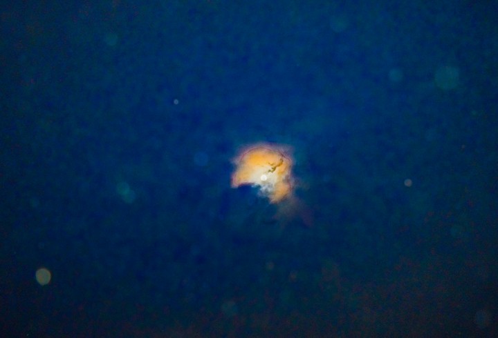 sky shower
