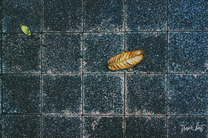 Alone