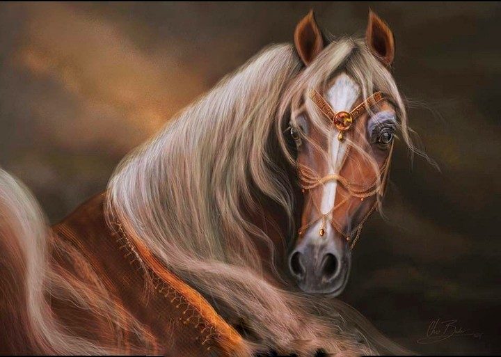 horse
