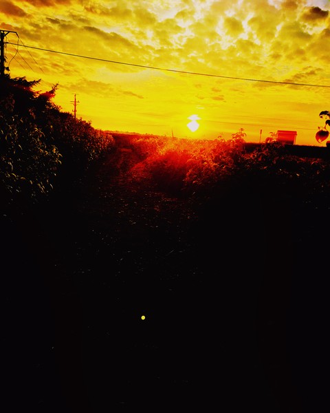 tapety dusk, zachod