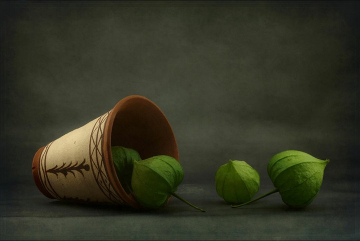 The pot