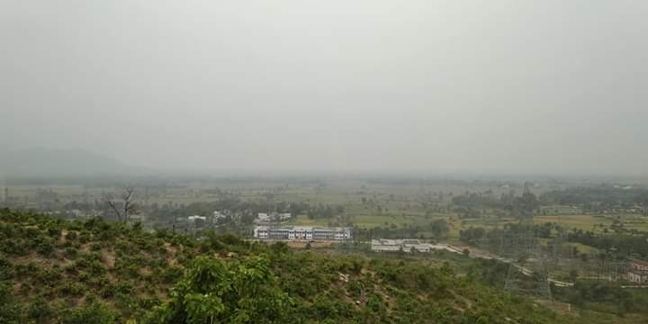 fog