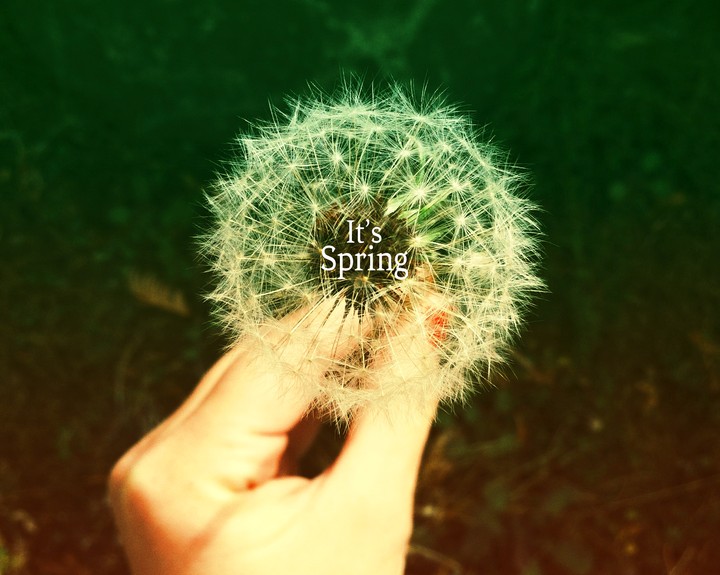 It's Spring